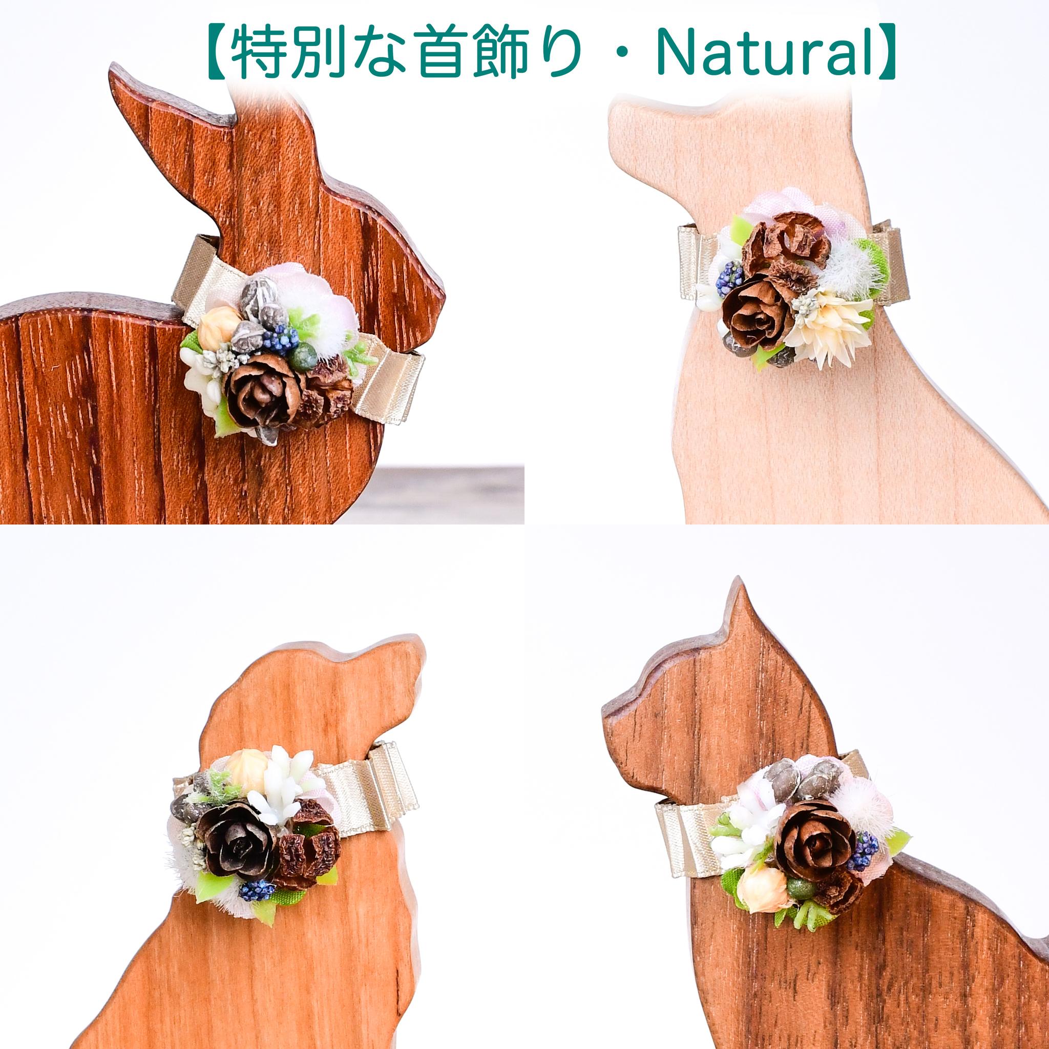 桜カラーのアメリカンコッカースパニエル・スマホスタンド | 19枚目